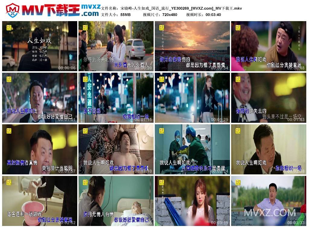宋晓峰-人生如戏_国语_流行_YE300269